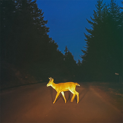 VagueEightySix - Natureboy