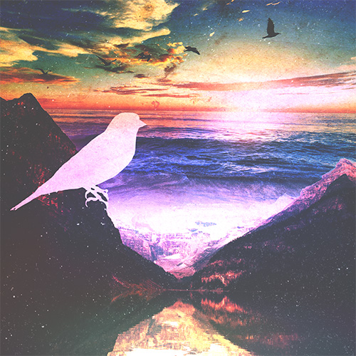 VagueEightySix - Songbird